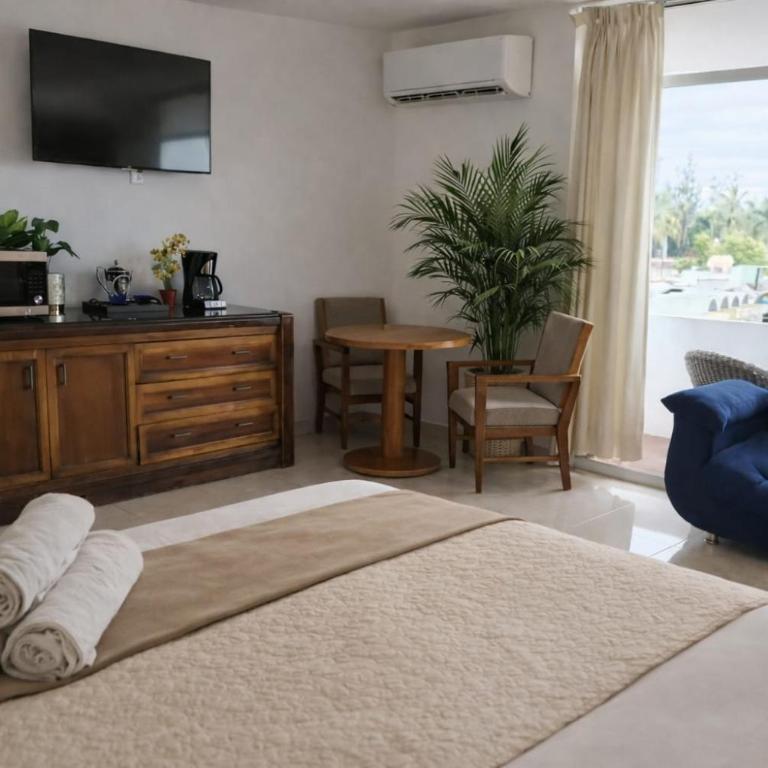 Zona Dorada Living - Estudio Deluxe con cama grande - 4