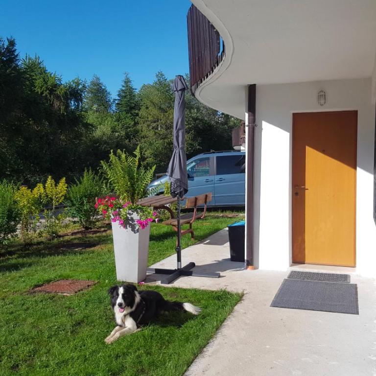 Casa Polsa 1964 - Casa Vacanze con 2 Camere da Letto - 21