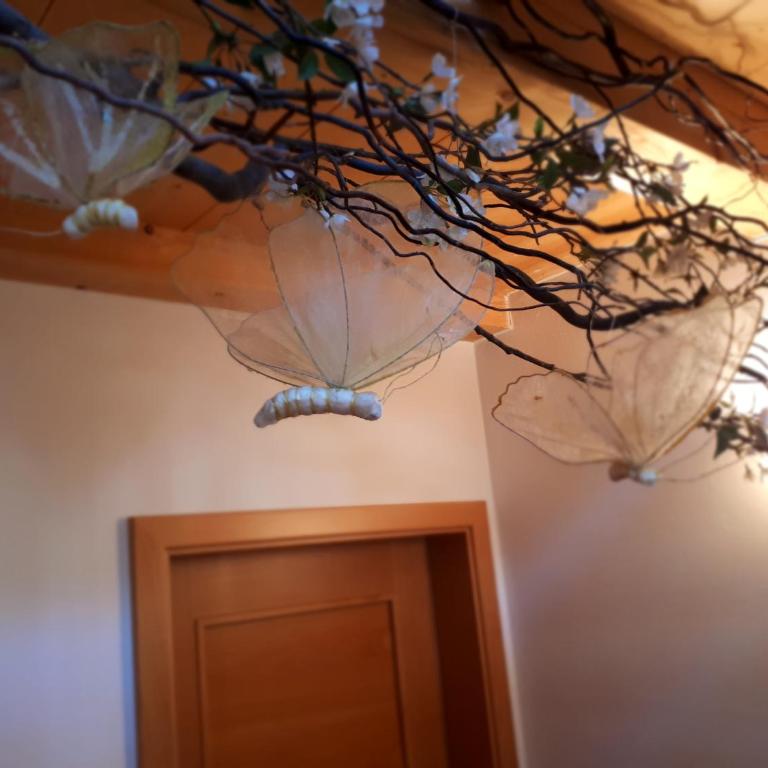 Ferienwohnungen Hofanger - Appartamento con 2 Camere da Letto e Balcone - 4