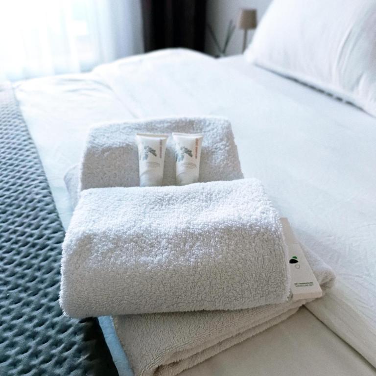 Apartman1105 Sarajevo Free Garage - Apartman sa 1 Spavaćom Sobom - 4