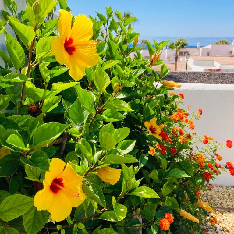 Luxury Villa with sea view, private jacuzzi & heated pool - Villa - 53