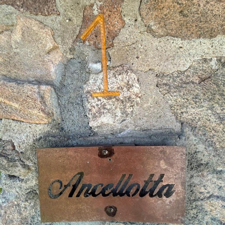 suite premium en viñedo en la montaña - Casa con 1 dormitorio - 8