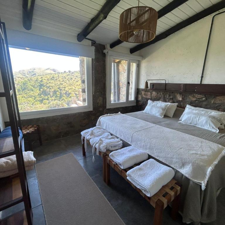 suite premium en viñedo en la montaña - Casa con 1 dormitorio - 11