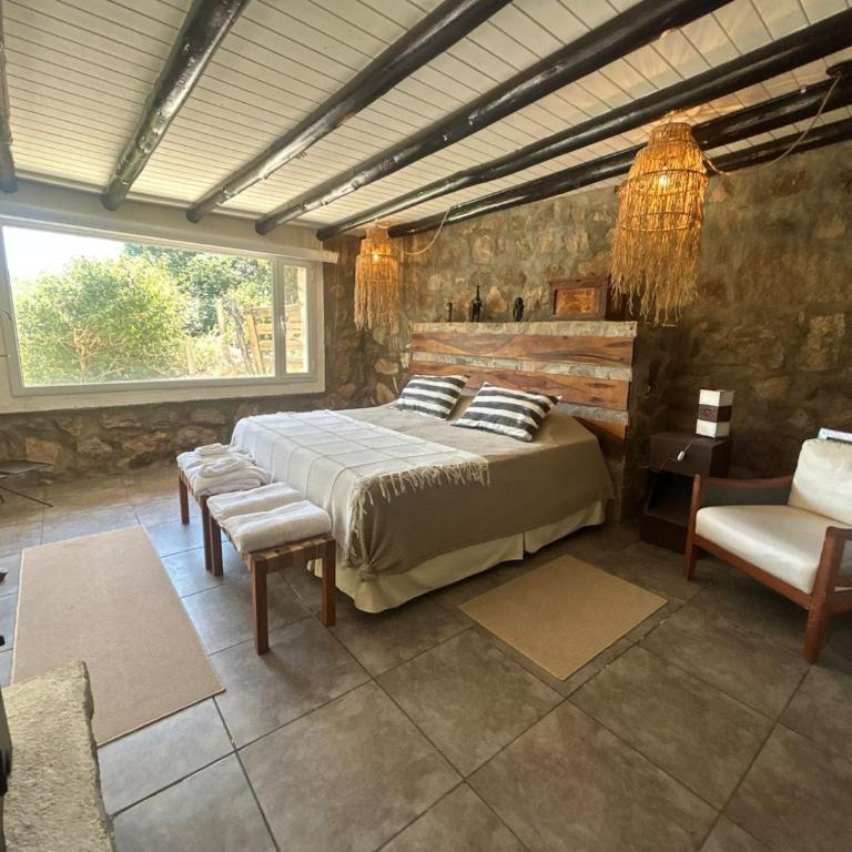 suite premium en viñedo en la montaña - Casa con 1 dormitorio - 5