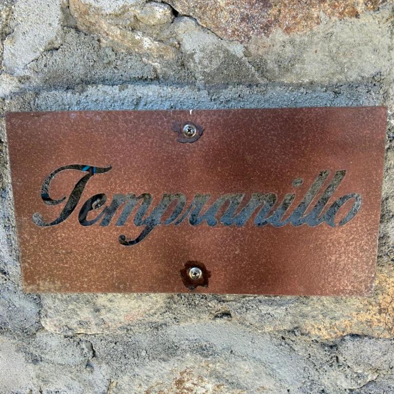 suite premium en viñedo en la montaña - Casa con 1 dormitorio - 6