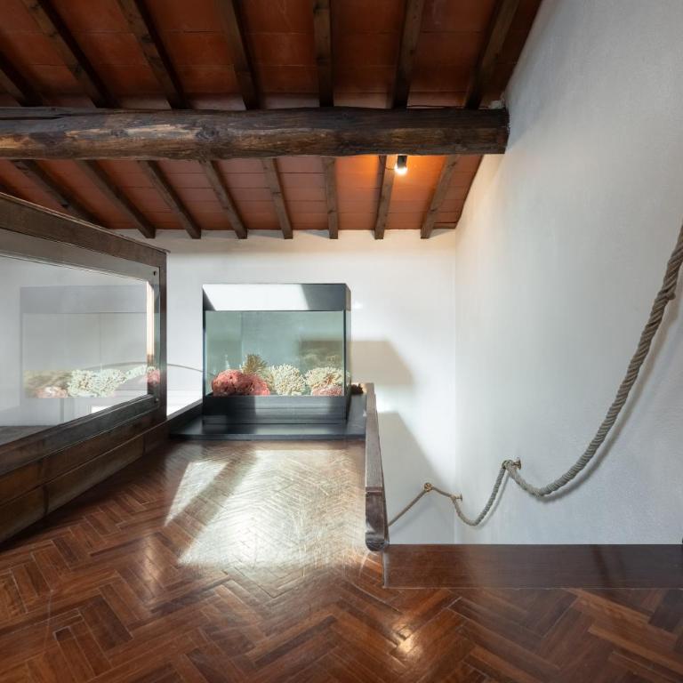 Via Lamberti, 3 - Florence Charming Apartments - Charming and historic 5th-floor attic apartment with elevator in a building at the heart of vibrant Florence, just a 2-minute walk from all attractions - Appartamento con 1 Camera da Letto - 12