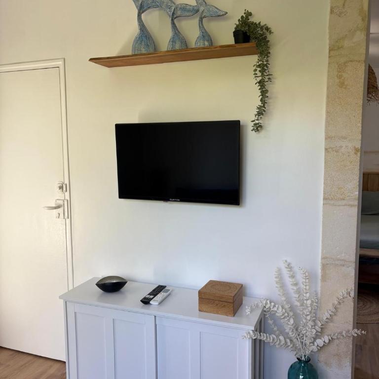 Andernos les pieds dans l eau - Maison 1 Chambre - 11