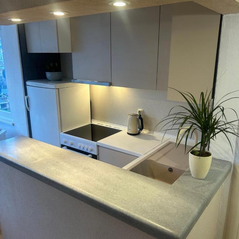 Apartman Rajs - One-Bedroom Apartment - 6