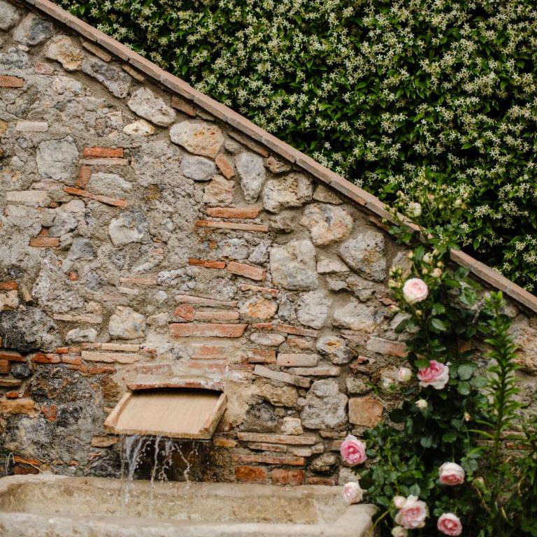 Fattoria San Donato - Apartment (4 Adults) - 2
