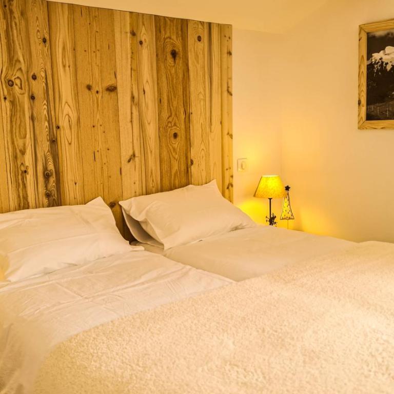 La Belle Etoile - 2 chambres & espace enfants - Sauna - Skis aux pieds - AravisTour - Appartamento Comfort - 5