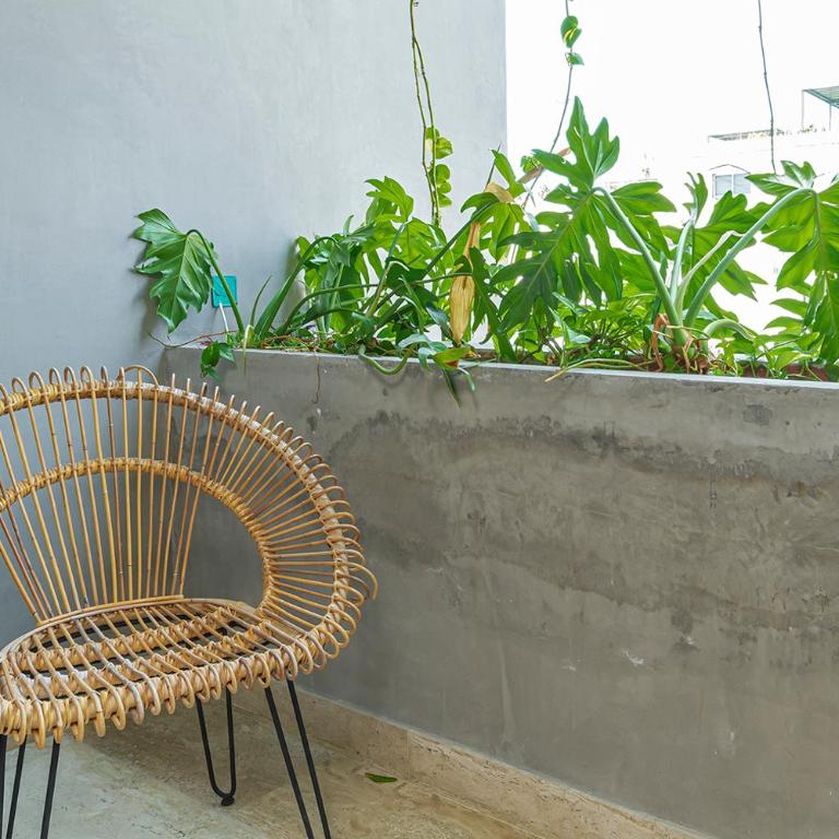 Magnificent Studio in Playa del Carmen 5th Ave - One-Bedroom Apartment - 10