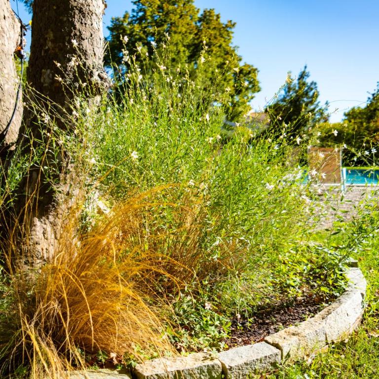 Le chant des jardins - Villa - 9