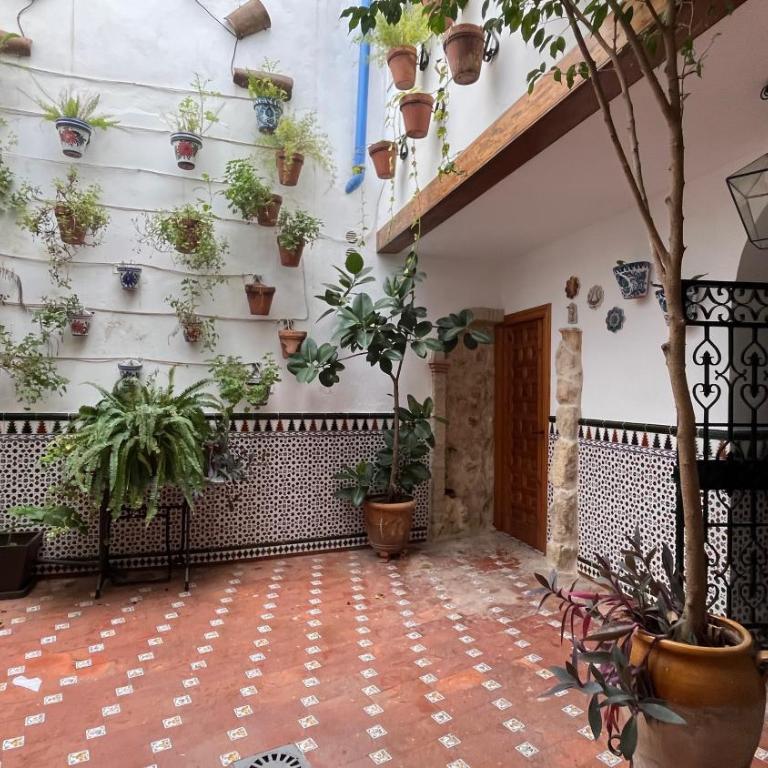Casa La Piconera - Apartamento de 3 dormitorios - 1