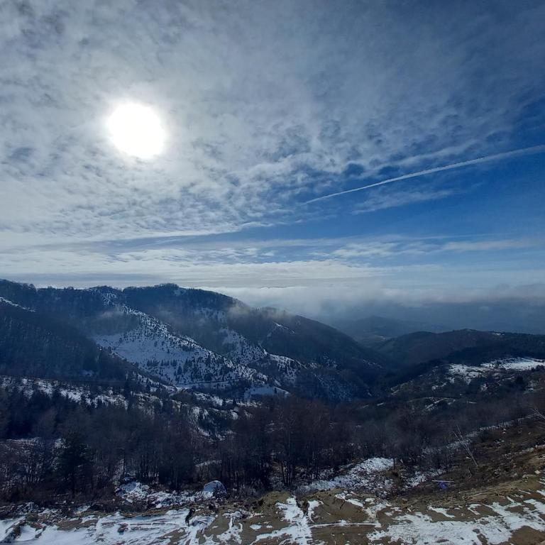 Apartman MK Kopaonik - Apartment with Mountain View - 4