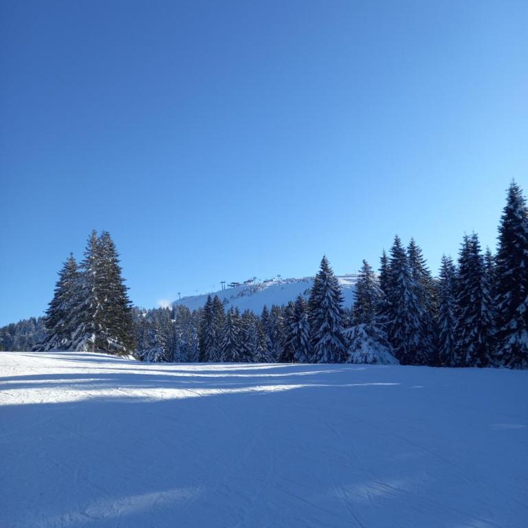 Apartman MK Kopaonik - Apartment with Mountain View - 3