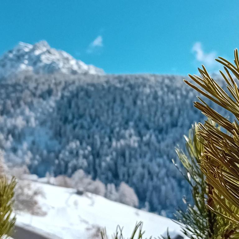 Lü de Terza - Appartamento con 2 Camere da Letto e con Vista Montagna - 7