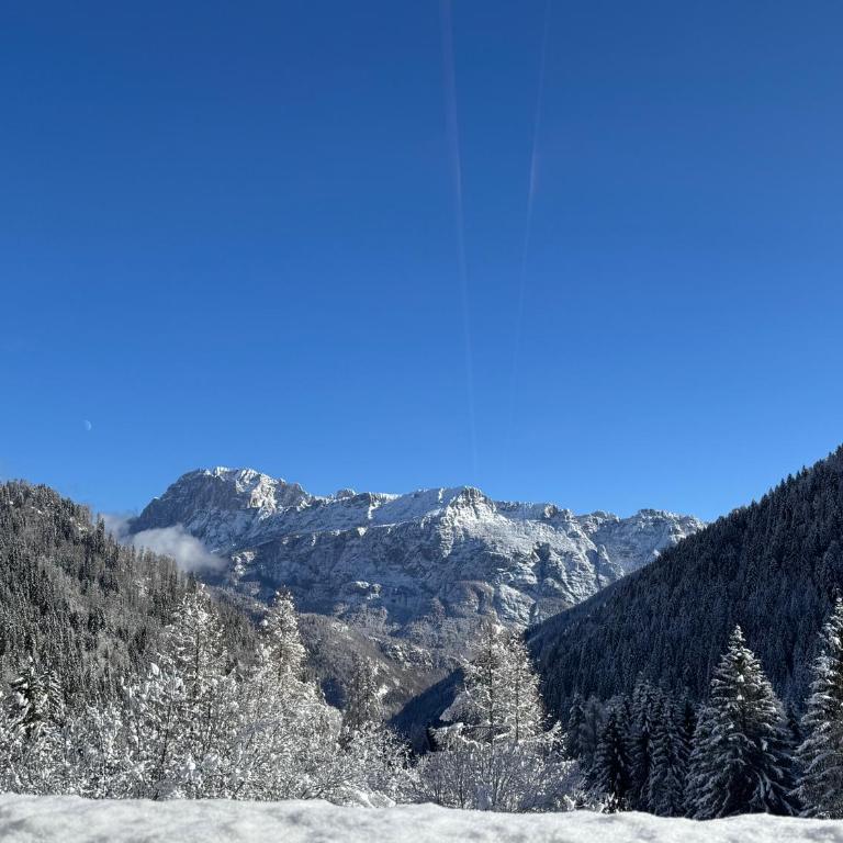 Albergo Scoiattolo Dolomites Experience - Camera Quadrupla Superior - 16
