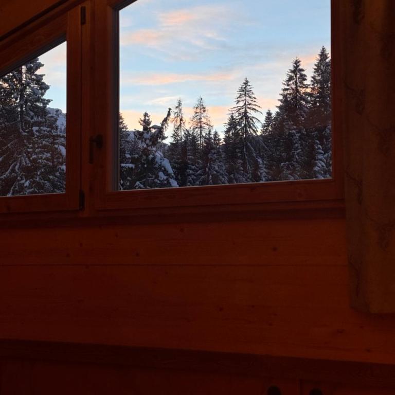 Albergo Scoiattolo Dolomites Experience - Camera Quadrupla Superior - 14