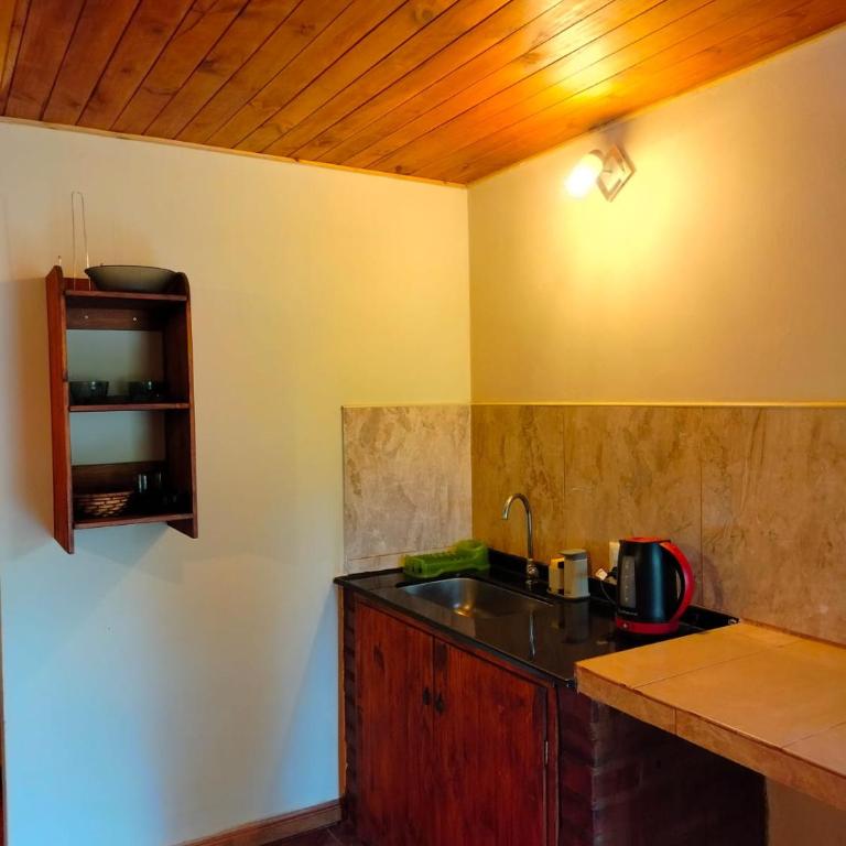 Oré Lodge - Vacation Home - 5
