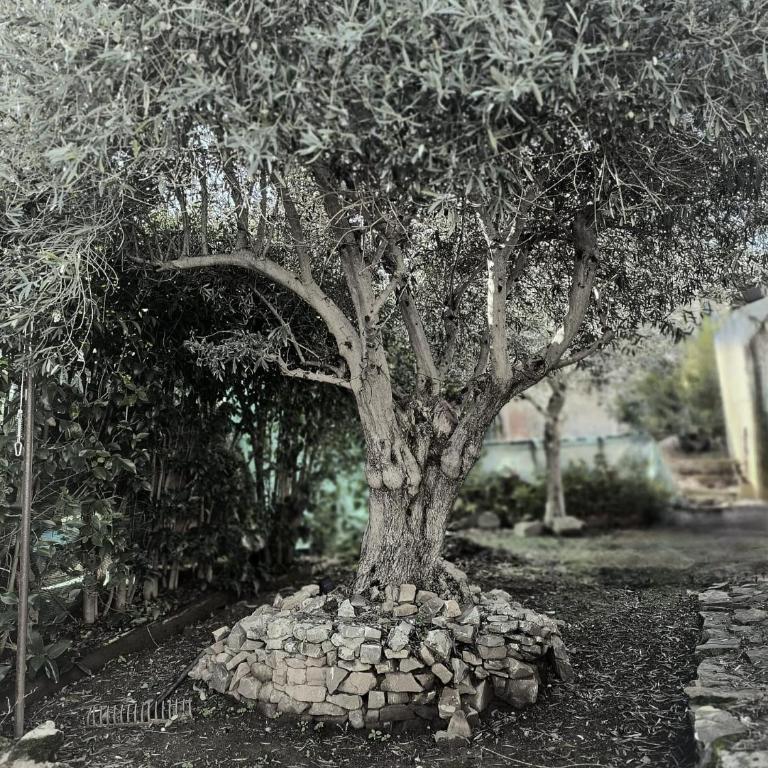 Apartamento El Olivar de Cáceres - Apartamento de 2 dormitorios - 18