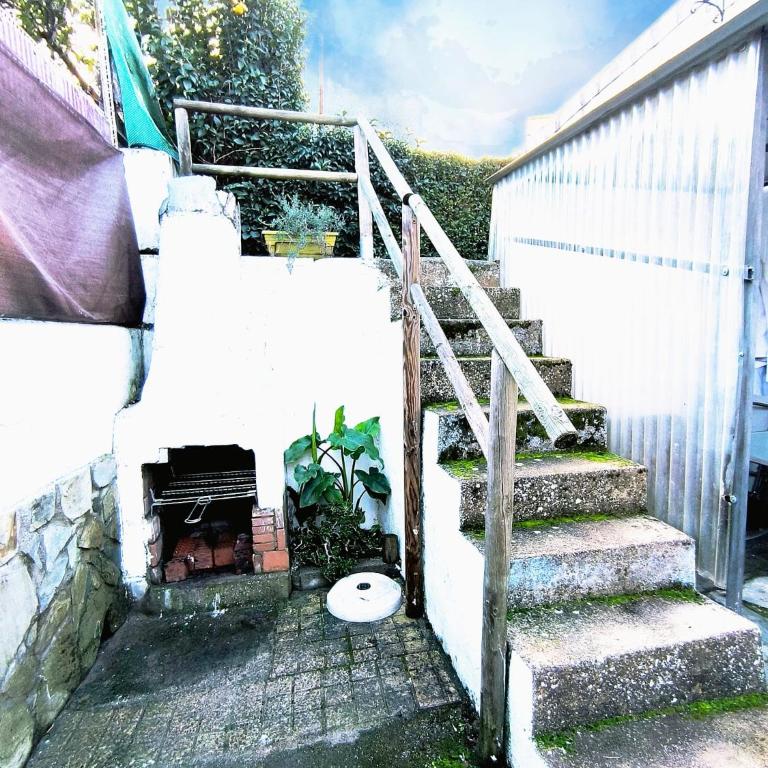 Apartamento El Olivar de Cáceres - Apartamento de 2 dormitorios - 30