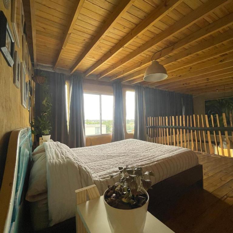 Casita del Hornero - Casa con 1 dormitorio - 9