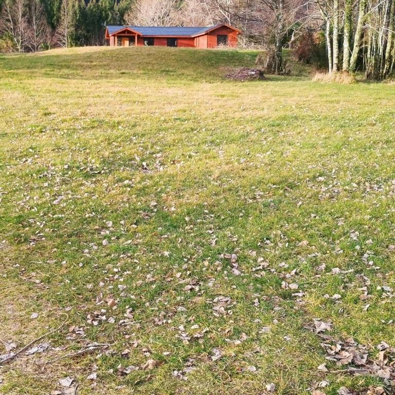 Casa Río Nilahue - One-Bedroom House - 7