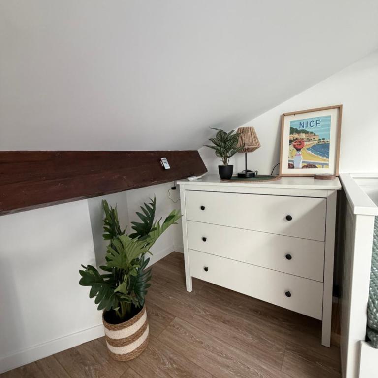 LE PETIT NID sous le toit - Appartement 1 Chambre - 15