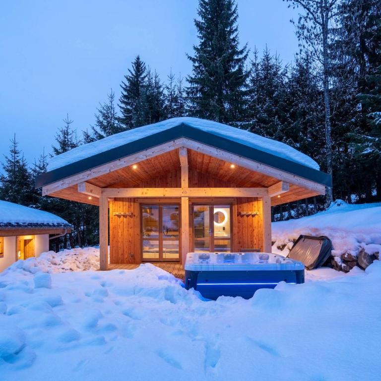 Luxury Chalet with Private Spa & Wellness Area - Chalet - 75