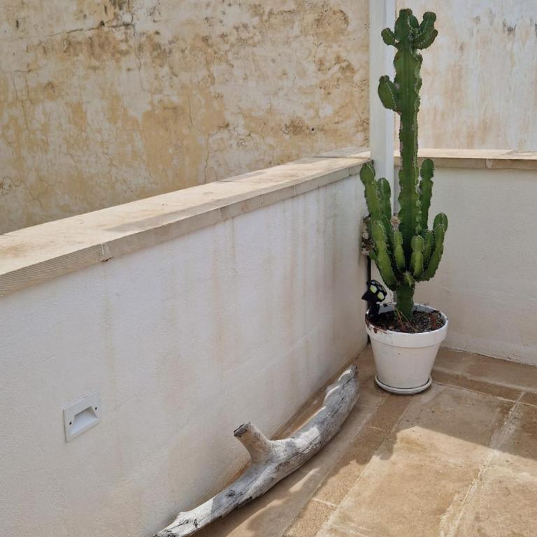 Casa Mignano - Appartamento con 2 Camere da Letto - 78