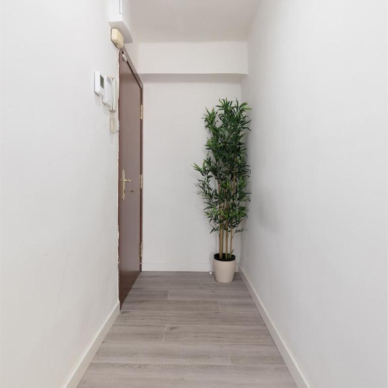Mislata Apartment - Apartamento de 3 dormitorios - 31