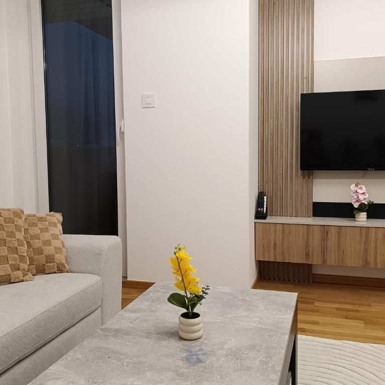Apartman Andrija - Apartman sa 1 Spavaćom Sobom - 11