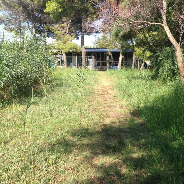 La casa sulla spiaggia - Chalet con 3 Camere da Letto - 23