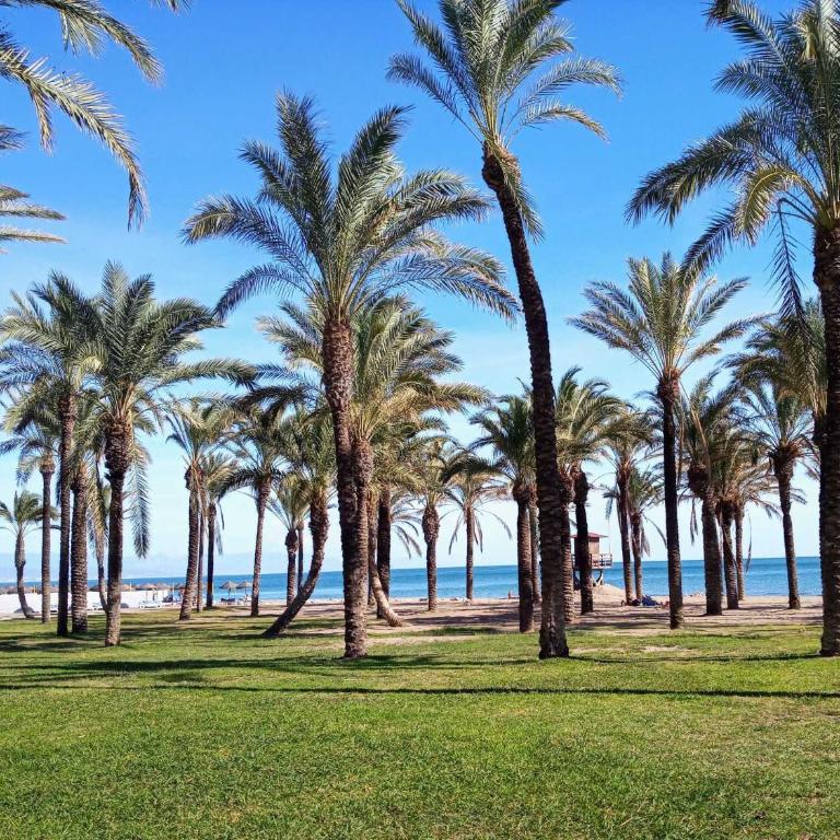 La Colina Beach Nest - Estudio - 40