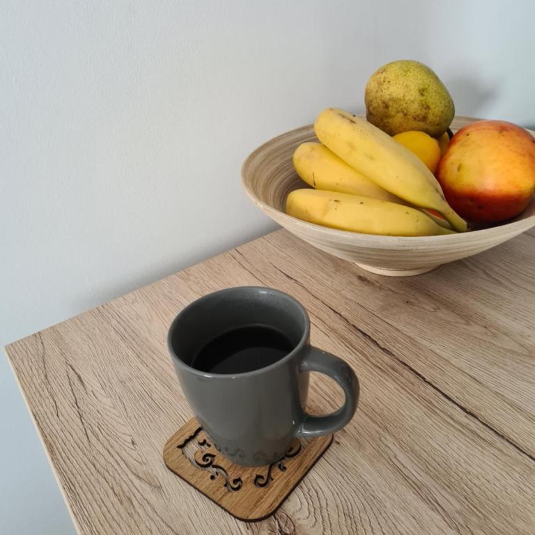 Vip Ogi 124 Zlatibor - Apartman sa 1 Spavaćom Sobom - 9