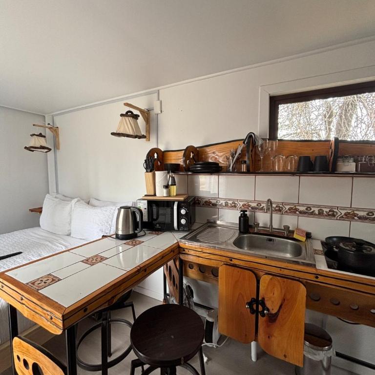 Nomade Balmaceda - One-Bedroom Apartment - 7