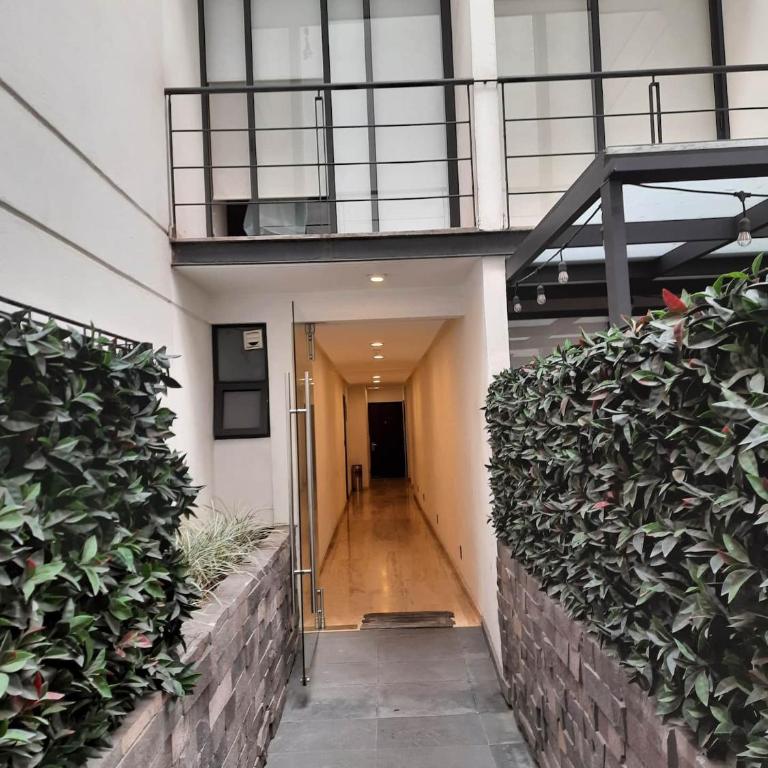 Chic with Loads of Sun & 3 Balconies Near Reforma - Apartamento Premium de 3 dormitorios con balcón - 36