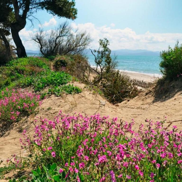 Oltremare - Double Room with Private Bathroom - 24