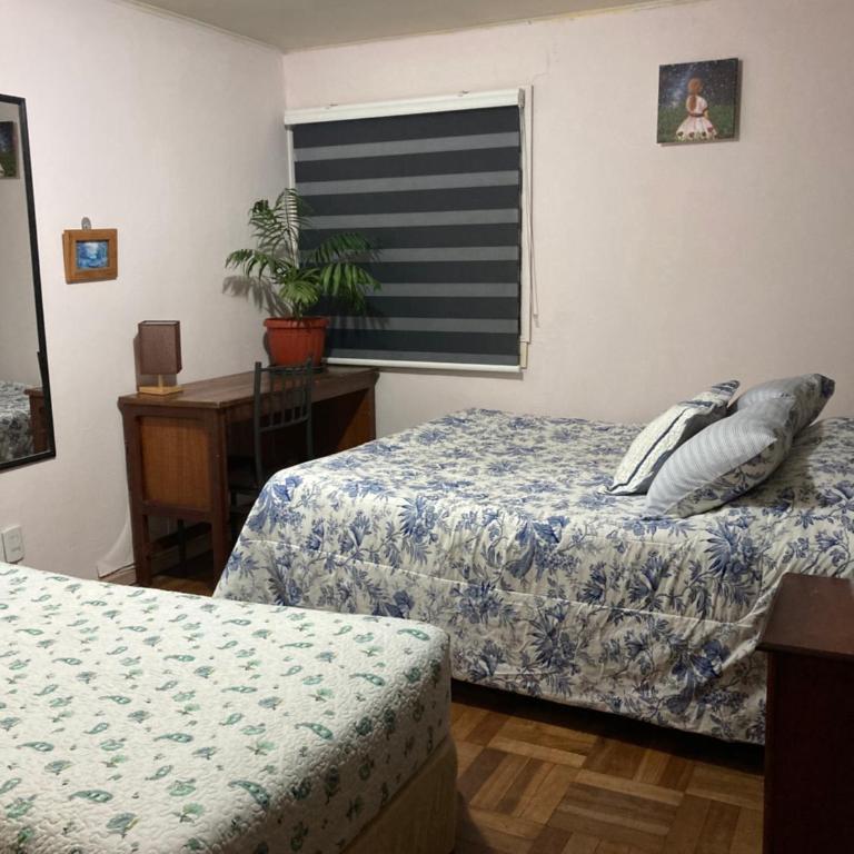 Cabaña Temuco con Balcón Buena ubicación - One-Bedroom Apartment - 8