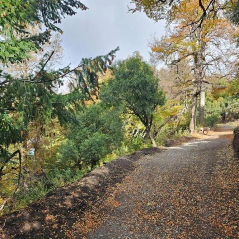 Cabaña la encantada - Apartamento de 1 dormitorio - 35