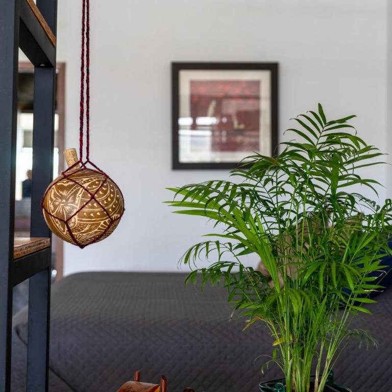 Hermoso Loft en Bugambilias, Zapopan - Two-Room Apartment - 45