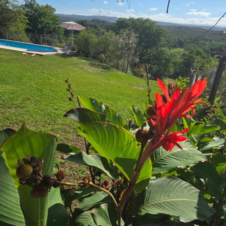 El Mirador de la Finca - Casa de 2 dormitorios - 14