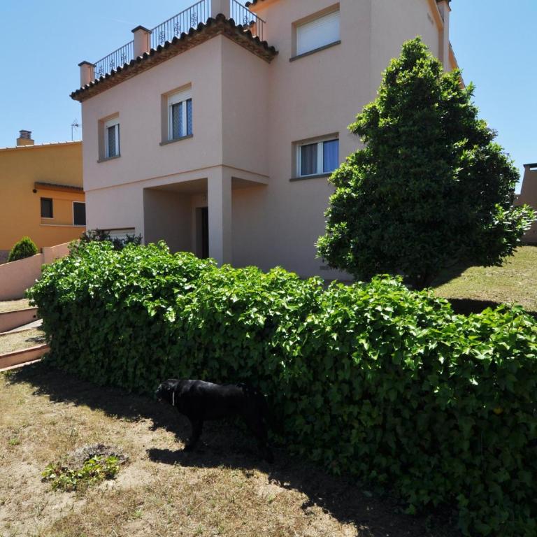 Casa espaciosa con piscina privada, WiFi y barbacoa a 15 minutos de la playa en Torroella de Montgrí - HISP-7-19 - Villa - 10