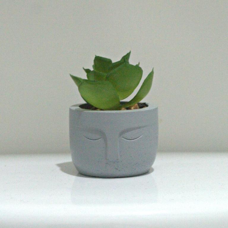 Cesar's Apartment - Los Laureles - One-Bedroom Apartment - 32