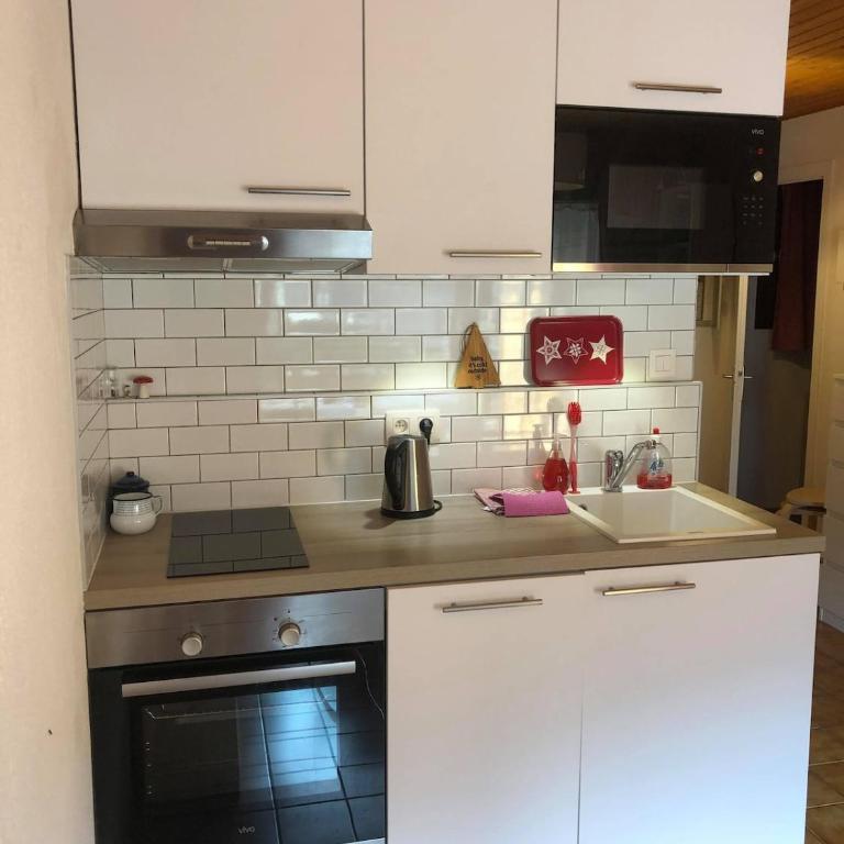 Updated cosy apartment, terrace, 10 mins to ski - Appartement 1 Chambre - 15