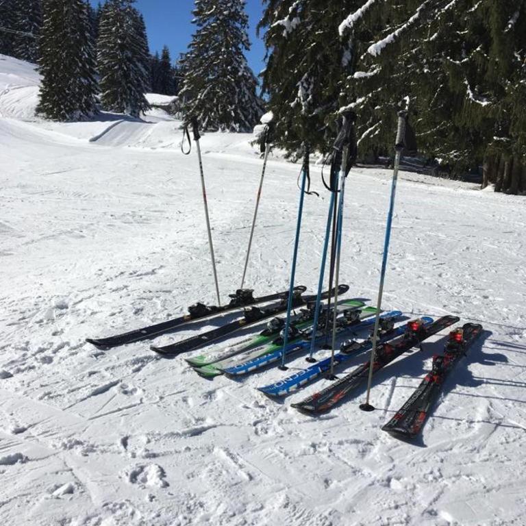 Updated cosy apartment, terrace, 10 mins to ski - Appartement 1 Chambre - 16