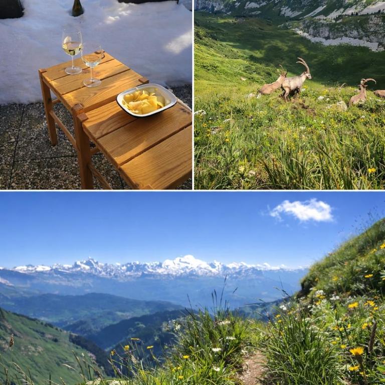 Updated cosy apartment, terrace, 10 mins to ski - Appartement 1 Chambre - 18
