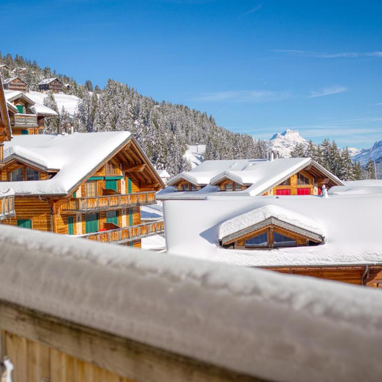 Ski-in Ski-out with Chimney and view Hameau B1 - Apartment - 24