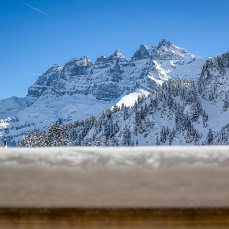 Ski-in Ski-out with Chimney and view Hameau B1 - Apartment - 25