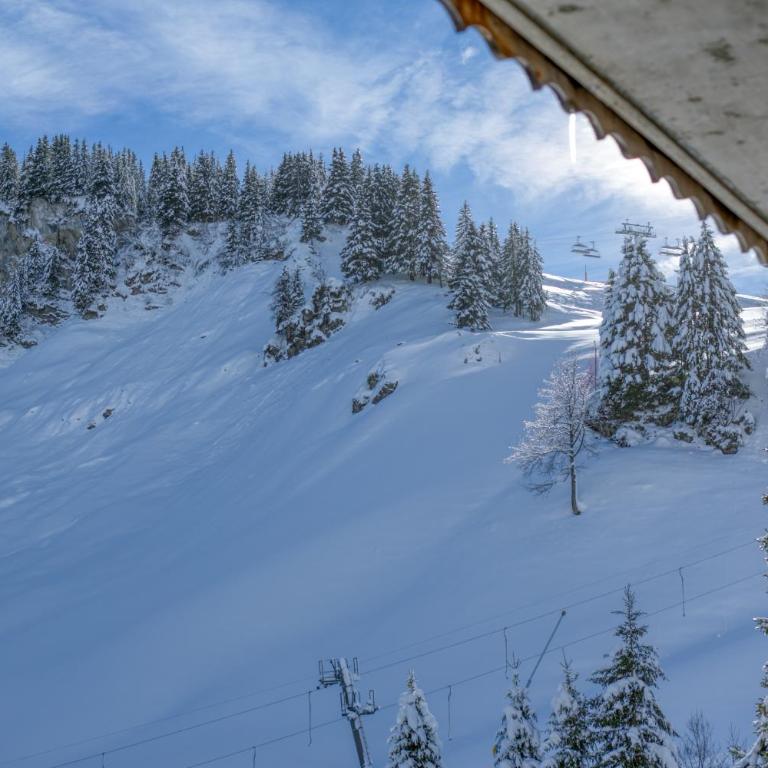 Ski-in Ski-out with Chimney and view Hameau B1 - Apartment - 26